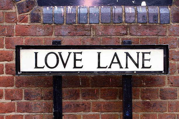 love lane street の標識 - street name sign ストックフォトと画像