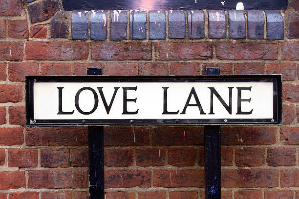 стрит знак love lane - street name sign стоковые фото и изображения