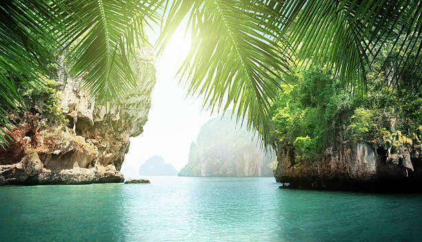 istock tropical sea and rocks 518060808