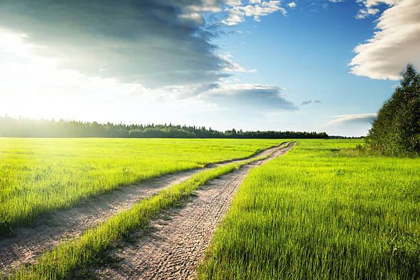 istock ground road and field of spring grass 518060898