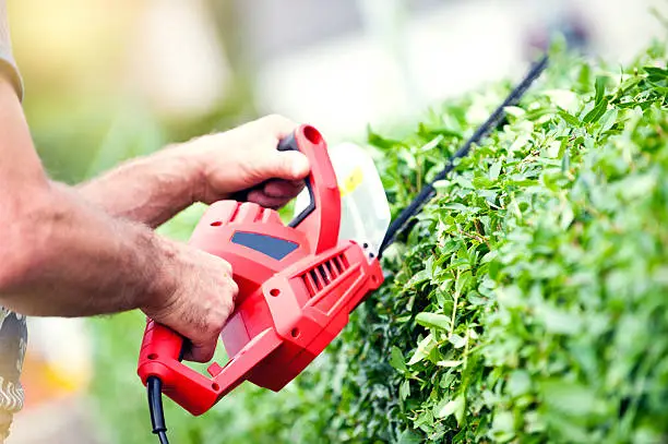 Photo of Trimming the Bushes