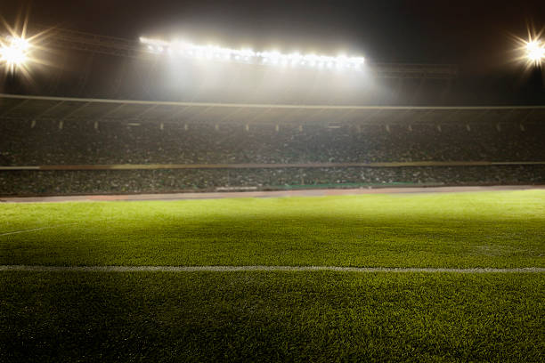 view of soccer field - world cup 個照片及圖片檔