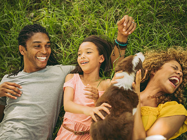 Top view shot of African-American family lying on their backs Sweet top view shot of family resting on the grass of their local park in the shade playing with their cute fluffy new puppy. playground photos stock pictures, royalty-free photos & images