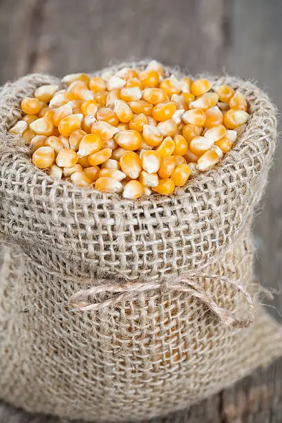 Photo of corn in burlap bag on wooden surface