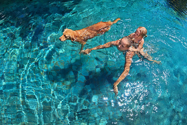 madre con hija en la parte posterior con perro en la piscina - swimming exercising women back fotografías e imágenes de stock