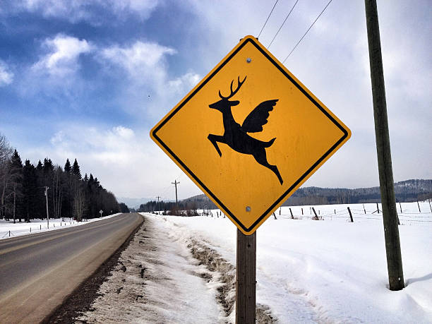7,146 Funny Road Signs Stock Photos, Pictures & Royalty-Free Images - iStock | Listen 7,146 Funny Road Signs Stock Photos, Pictures & Royalty-Free Images - iStock | Listen