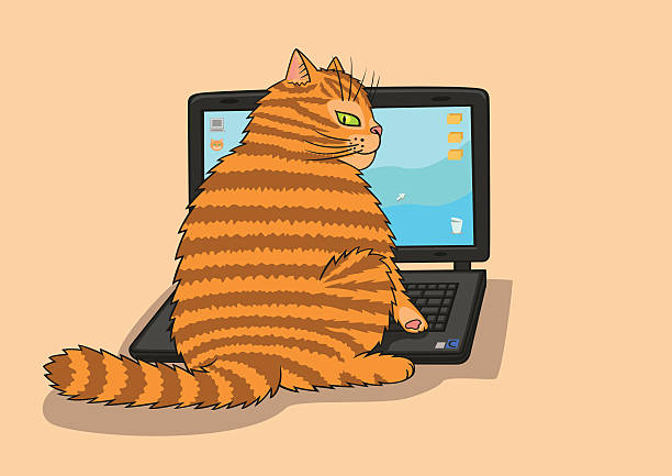 ilustrações de stock, clip art, desenhos animados e ícones de gato trabalha no computador portátil. - travesty