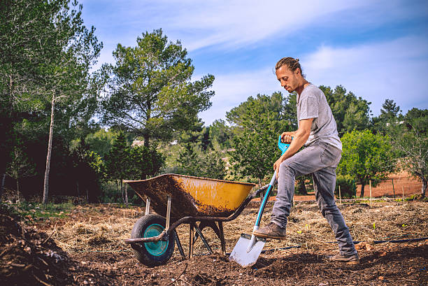 Young Farmer getting ready for Organic Agriculture Young Farmer getting ready for Organic Agriculture wheelbarrow stock pictures, royalty-free photos & images