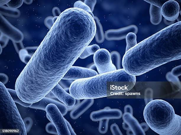 Bacteria Closeup Stock Photo - Download Image Now - Bacterium, E. coli, Micro Organism