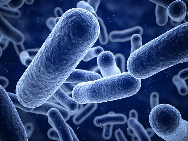 bakterie, zbliżenie - bacterium e coli pathogen micro organism zdjęcia i obrazy z banku zdjęć