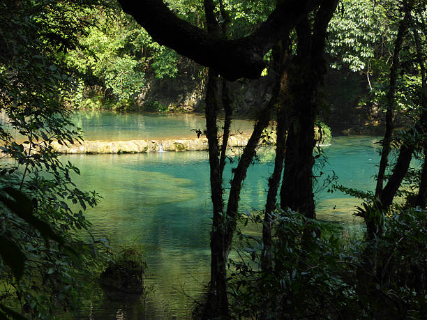 istock Beautiful Azure Pools of Semuc Champey Through Trees 518093346