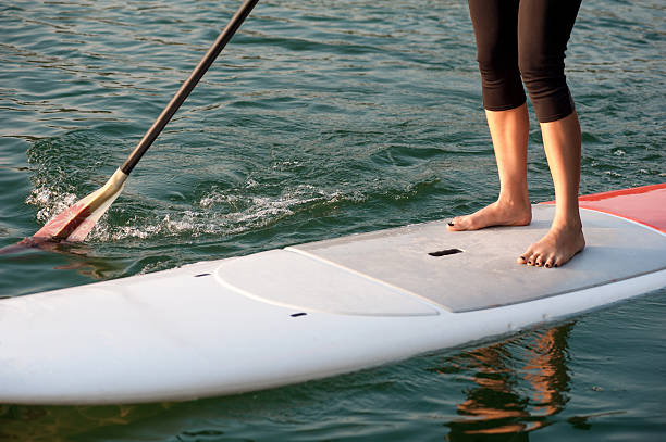 연습 레그스 여자 패들 - surfing paddling surfboard sunset 뉴스 사진 이미지