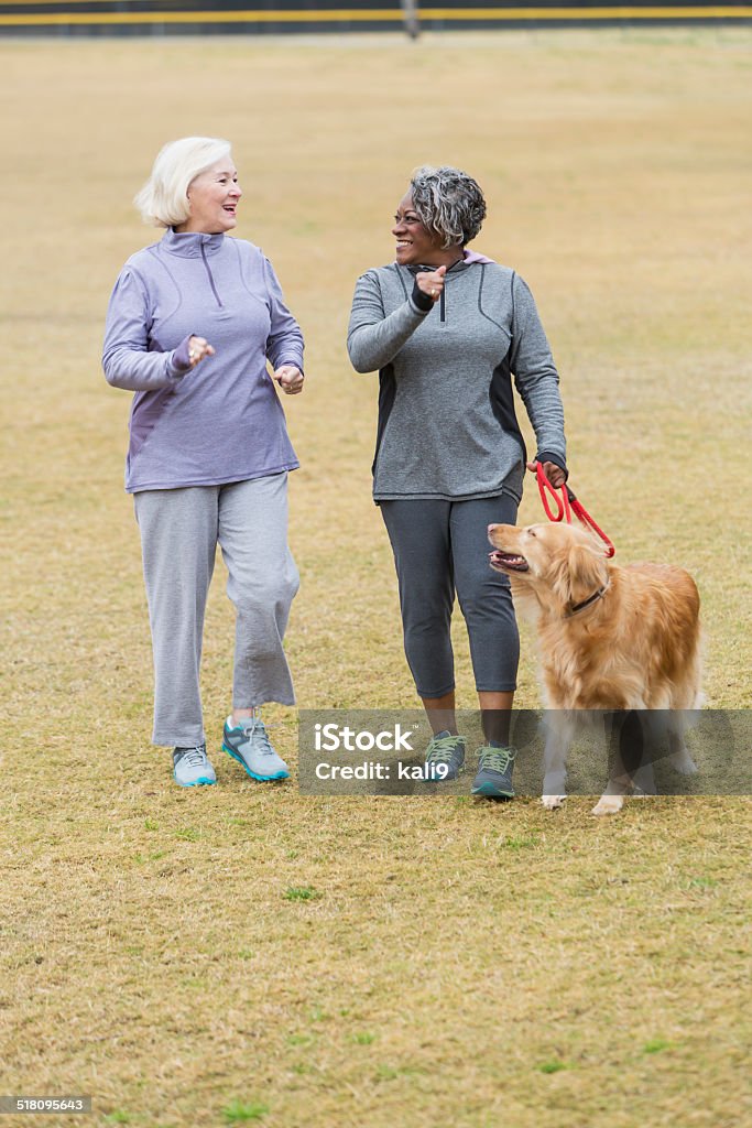 Senior amis marchant dans le parc - Photo de Promener un chien libre de droits