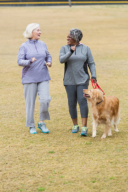 istock Senior friends walking in park 518095643
