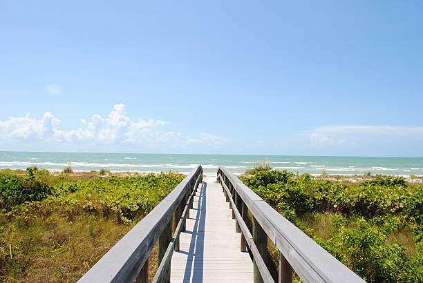 Sanibel Island Beach Shelling, fishing, boating, Sanibel Island sanibel island stock pictures, royalty-free photos & images