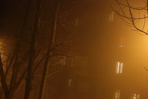 istock Evening city in fog 518099086