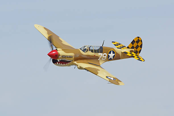 flugzeug p-40 warhawk - kittyhawk stock-fotos und bilder