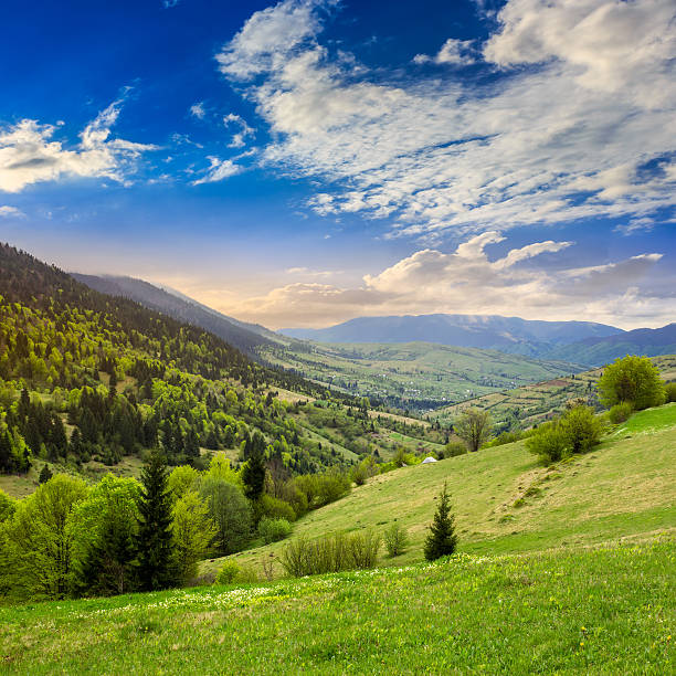 istock village on hillside meadow with forest in mountain 518099329