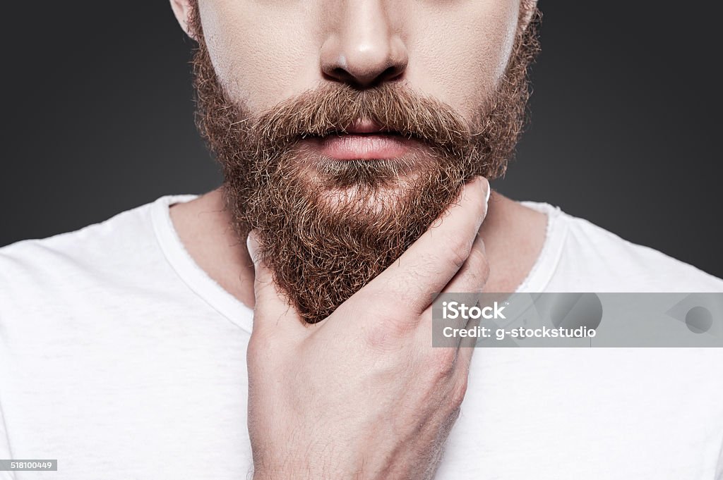 Touching his perfect beard. Close-up of young bearded man touching his beard while standing against grey background Beard Stock Photo