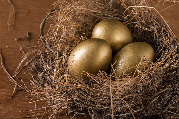 istock Hay Nest with 3 golden Eggs. 518100557