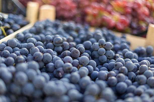 istock Grapes at the market 518101213