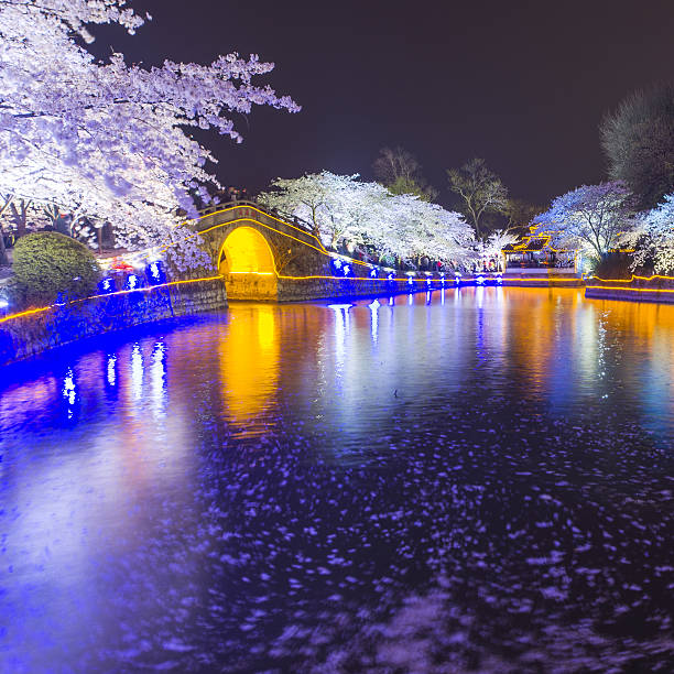istock Sakura arch night in Wuxi, China 518113440