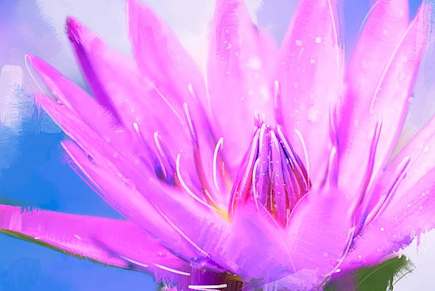 istock painting Lotus purple pink 518113466