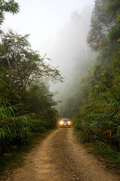 istock Road in the forest with fog 518113752