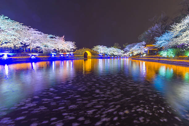 istock Sakura arch night in Wuxi, China 518113764