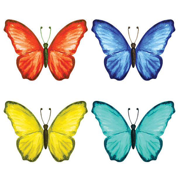 水彩絵の具のカラフルな蝶 - butterfly yellow white background wing点のイラスト素材／クリップアート素材／マンガ素材／アイコン素材