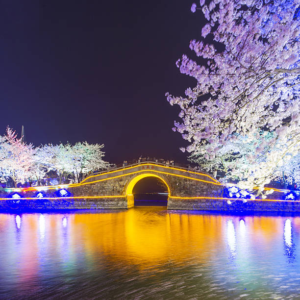istock Sakura arch night in Wuxi, China 518113944