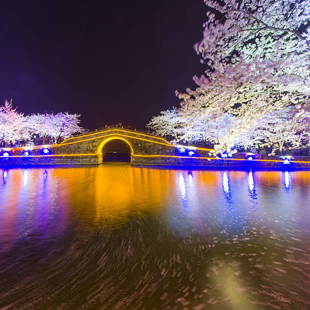 istock Sakura arch night in Wuxi, China 518114058