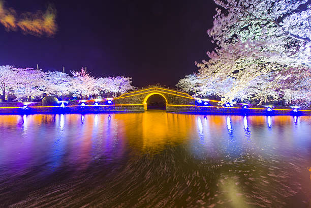 istock Sakura arch night in Wuxi, China 518114384