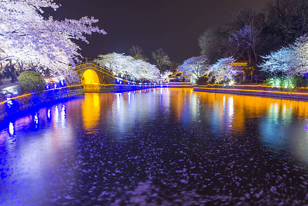istock Sakura arch night in Wuxi, China 518114400