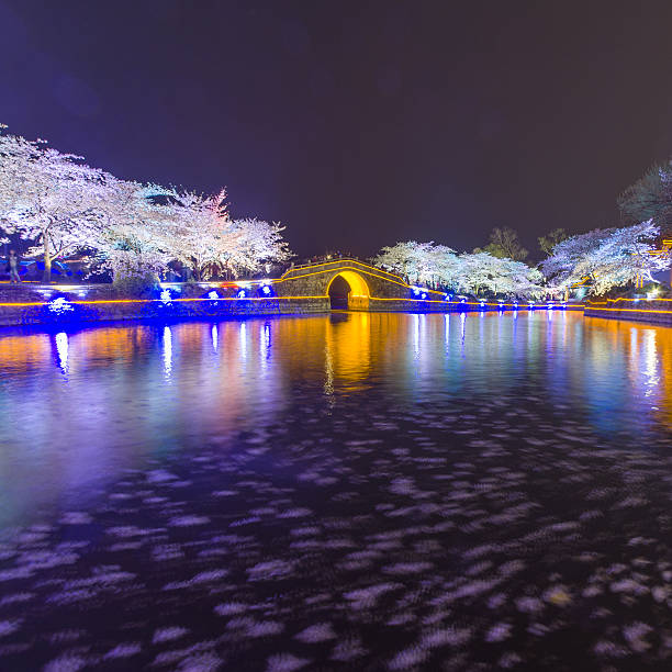 istock Sakura arch night in Wuxi, China 518114552