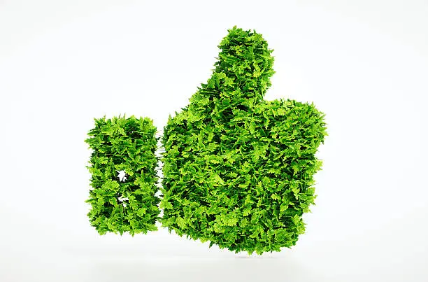 3D illustration of eco friendly thumbs up sign