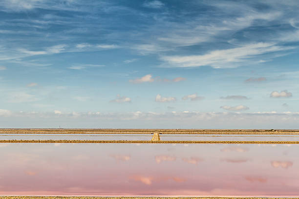 Panoramic view of Saline Drip - Camargue - Salin de Giraud 