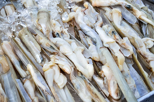 Fresh razor shell on ice at the seafood booth Selective focus and close up / Fresh razor shell on ice at the seafood booth razor clam stock pictures, royalty-free photos & images