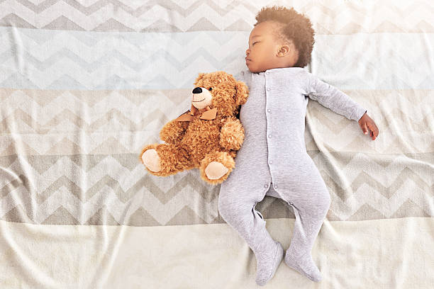 istock Sleep is a bear necessity of life 518141544