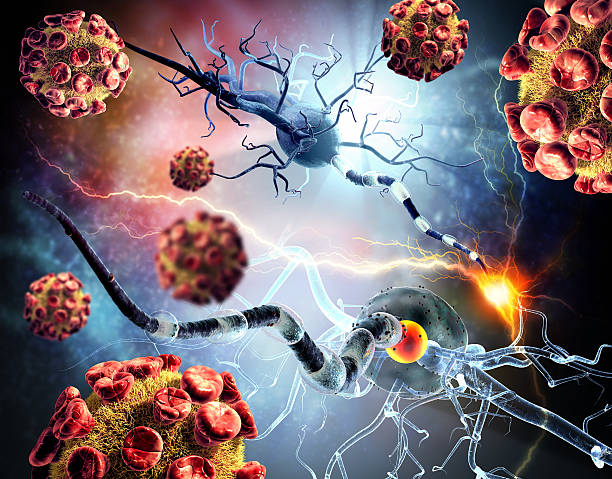 istock 3d illustration of nerve cells and viruses 518142378