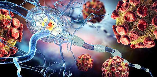 istock 3d illustration of nerve cells and viruses 518142452