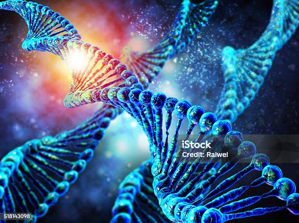 Human Dna String Stock Photo - Download Image Now - Nucleotide, DNA, Helix