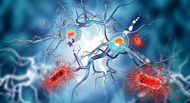 istock 3d illustration of nerve cells and viruses 518143178