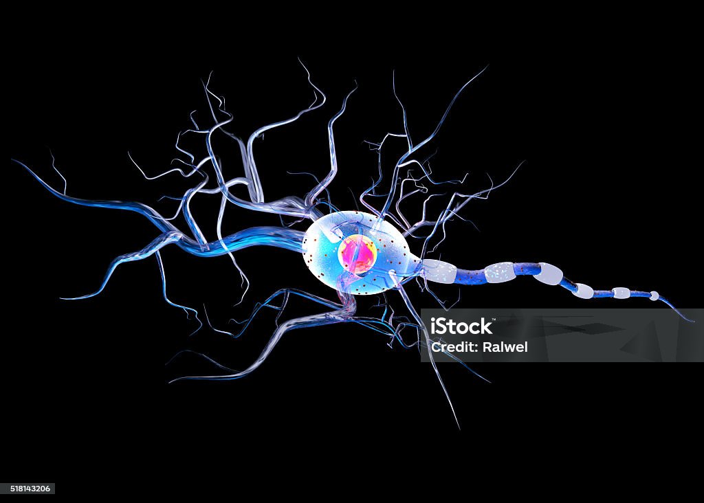 Détaillée Neurone seul sur Blak arrière-plan - Photo de Anatomie libre de droits