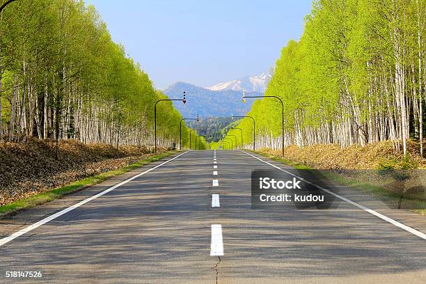 White Birch Road At The Foot Of Mikuni Pass Of Hokkaido Stock Photo - Download Image Now