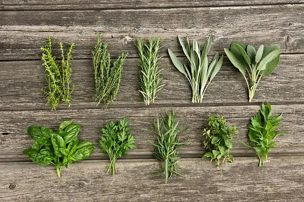 Different type of garden herbs in the wooden board