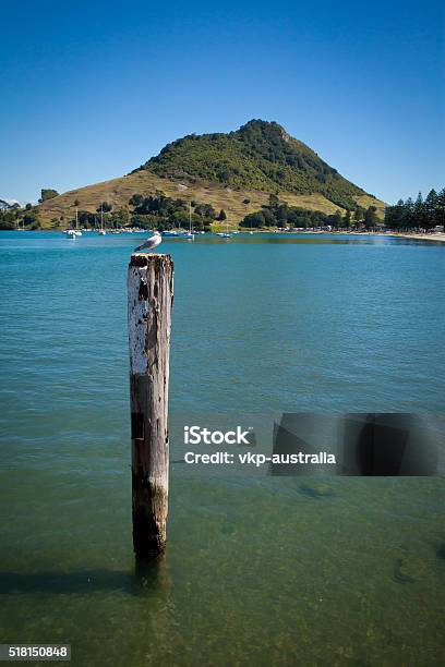 Mount Maunganui Tauranga Harbour New Zealand Stock Photo - Download Image Now - Mount Maunganui, Beach, New Zealand