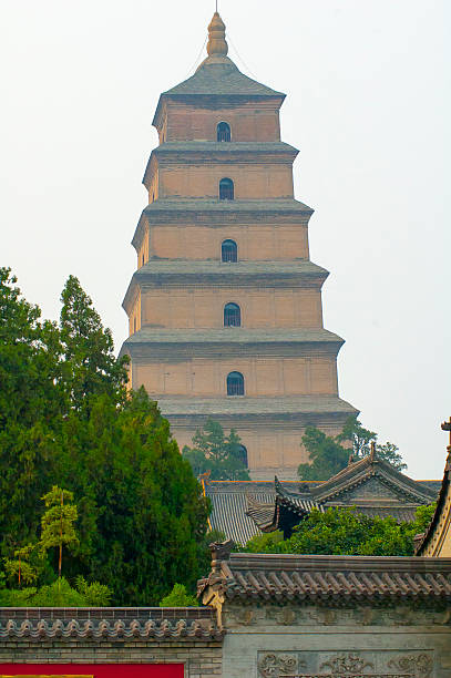 istock Big Wiled Goose Pagoda 518150925