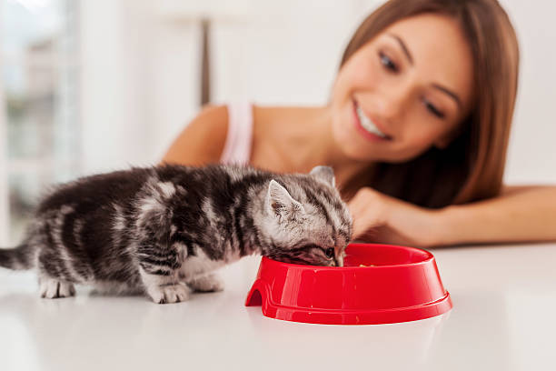 Taking good care of her pet.