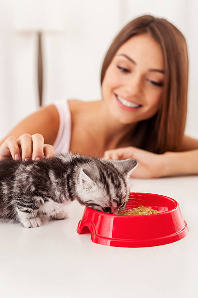 istock Taking care of her little kitten. 518150957